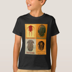 T-shirt Quatre Trilobite Fossil Montage