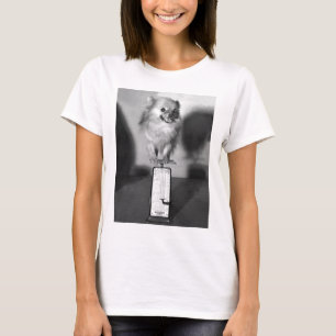 T-shirt Queest-ce que je pèse ?