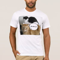 Quel autre chat ?/Orange Tabby Humour