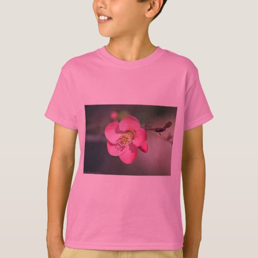T-shirt Quince à fleurs roses parfaite (Devant)