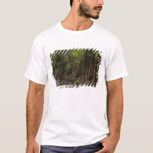 T-shirt Racines contreforts. Forêt tropicale, Mapari Rupun