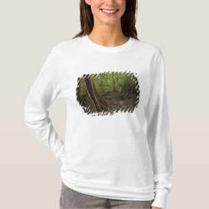 T-shirt Racines contreforts. Forêt tropicale, Mapari Rupun