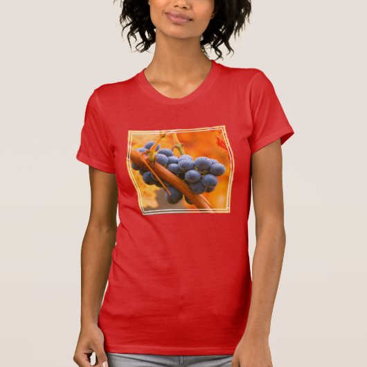 T-shirt Raisin de vigne dans le vignoble (Devant)