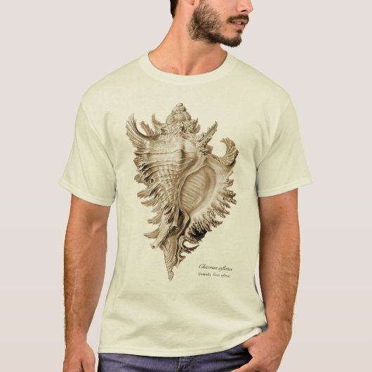 T-shirt Ramosus de Chicoreus (inflatus de Chicoreus). (Devant)