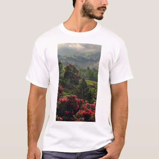 T-shirt Randonnée naturel de Mountain Spring (Devant)