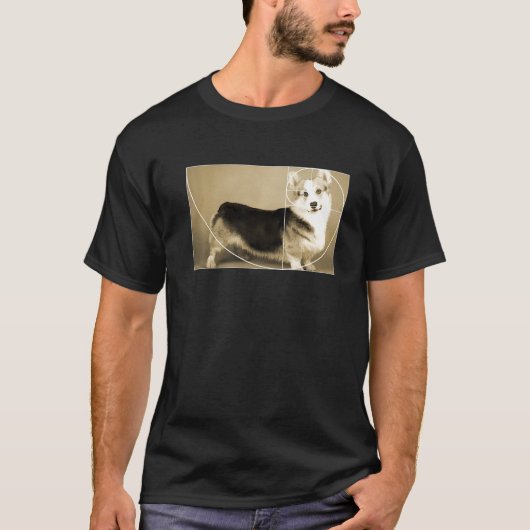 T-shirt Ratio d'or Corgi Fibonacci Math spirale (Devant)