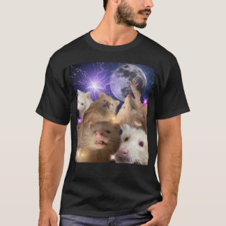 T-shirt Raton laveur albinos drôle et ringard