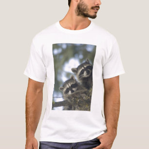 T-shirt Raton laveur (Procyon Lotor) de Fish Lake, centre
