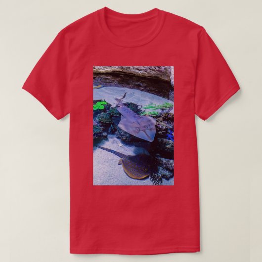 T-shirt Rayons à AWQA (Design devant)