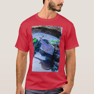 T-shirt Rayons à AWQA