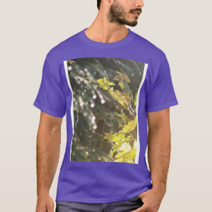 T-shirt Rayons solaires d'automne 53