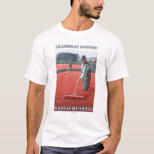 T-shirt Récolte de marais de MassachusettsCranberry