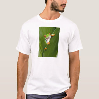 T-shirt Red eyed tree frog