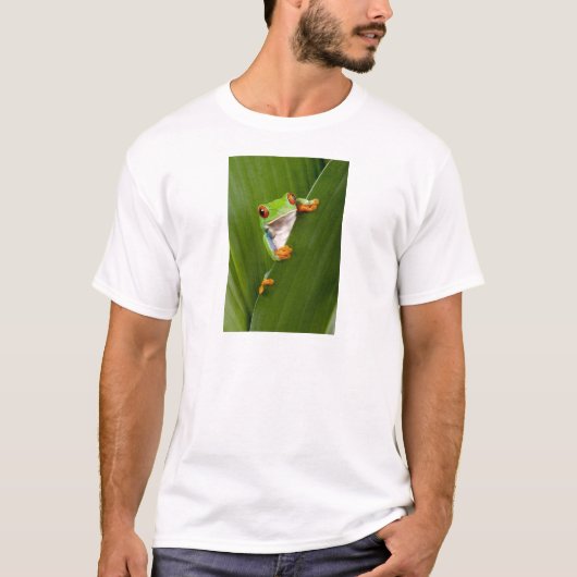 T-shirt Red eyed tree frog (Devant)