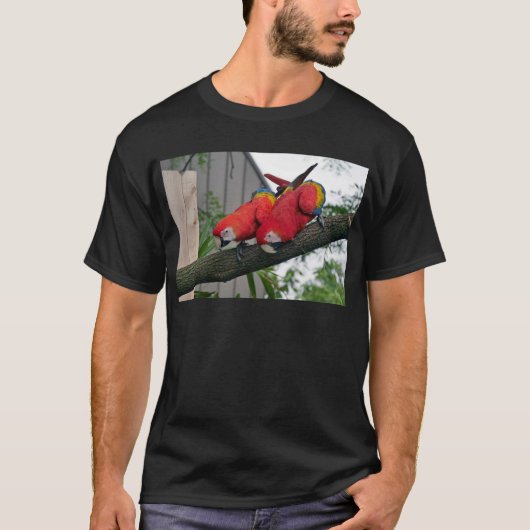 T-shirt Red Macaws 2.JPG (Devant)