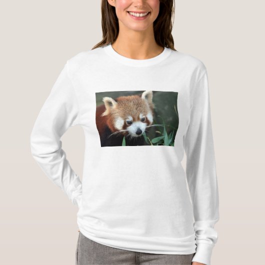 T-shirt Red Panda, Zoo de Taronga, Sydney, Australie (Devant)