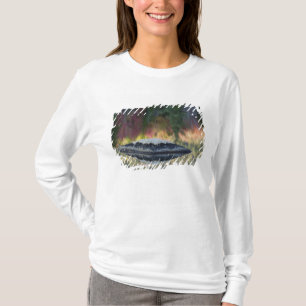 T-shirt Reflet de roche et d'arbre, étang aux nénuphars, W