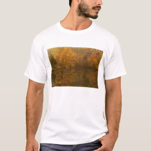 T-shirt Reflets d'automne sur l'étang.