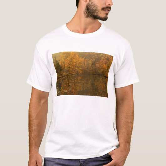 T-shirt Reflets d'automne sur l'étang. (Devant)