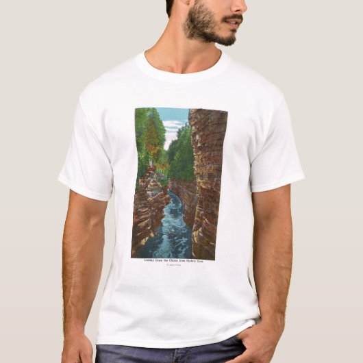 T-shirt Regard en bas de l'abîme d'Ausable de la caverne (Devant)