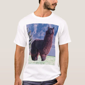 T-shirt règle d'alpaga