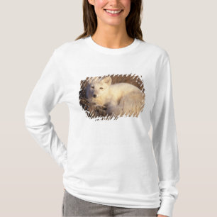 T-shirt renard arctique, Alopex lagopus