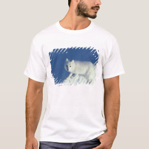 T-shirt Renard arctique Alopex lagopus) Un renard arctique