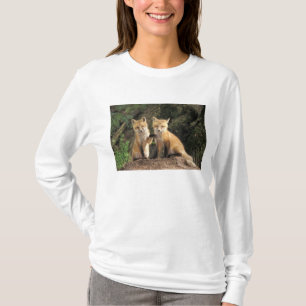 T-shirt Renard roux bébé devant terrier Vulpes vulpes)