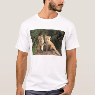 T-shirt Renardeau roux devant terrier Vulpes vulpes)