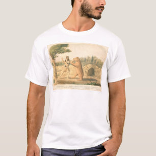 T-shirt Rencontre de l'ours de Hollister (0547A)