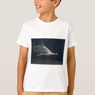 T-shirt Requin de poisson-marteau