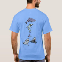 Requins partout