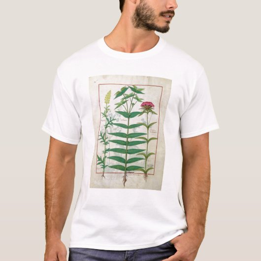 T-shirt Reseda, euphorbe et oeillet (Devant)