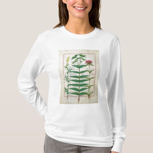 T-shirt Reseda, euphorbe et oeillet (Devant)