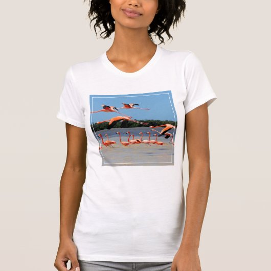 T-shirt Réservation de biosphère de Celestun (Devant)