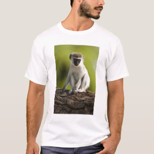 T-shirt Réserve de gibier de Samburu, Kenya, Vervet Monkey