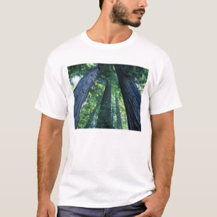 T-shirt Réserve d'État de Montgomery Woods, Californie.