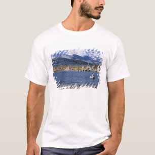T-SHIRT RÉSERVE NATURELLE ÉTATIQUE DE TUFA DU LAC MONO,