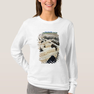 T-shirt Restes des maisons