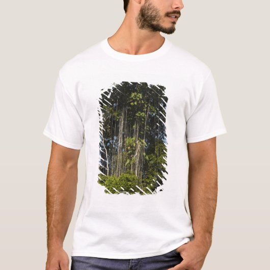 T-shirt Rewa River bordure Forêt Rainforest Guyana (Devant)