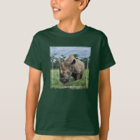 Rhinocéros noir | Kenya