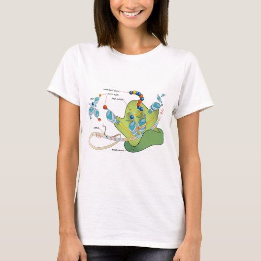 T-shirt Ribosome mRNA tRNA molecules proteins Diagram  (Devant)