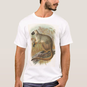 T-shirt Richard Lydekker - Queensland Tree-Kangaroo