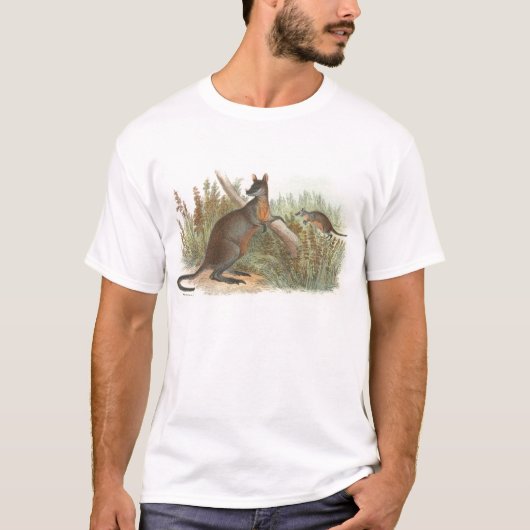 T-shirt Richard Lydekker - Wallaby à queue noire (Devant)