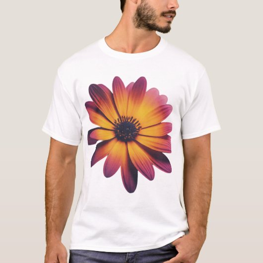 T-shirt Richesses et énigmes (Devant)