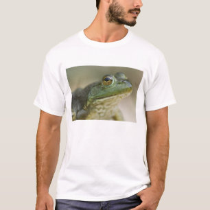T-shirt Rivière nationale de Buffalo, Arkansas du Nord-Oue