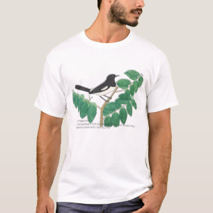 T-shirt Robin à tarte orientale