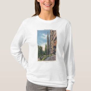 T-shirt Roche de cheminée sur la route de Cody, vue du