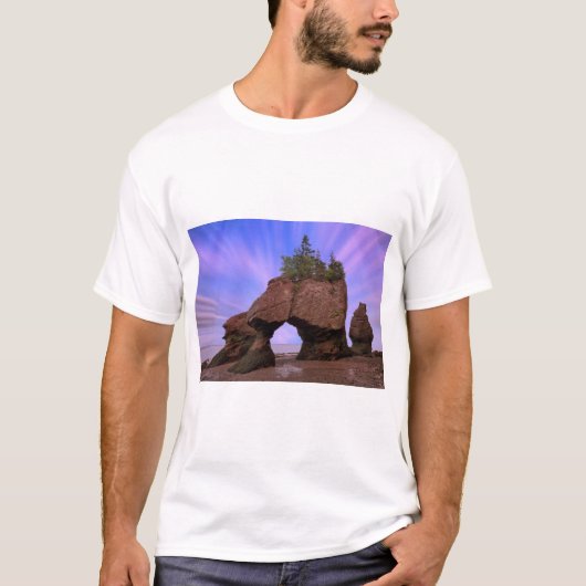 T-shirt Roches de Hopewell (Devant)