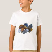 T-shirt Roches polies (Devant)